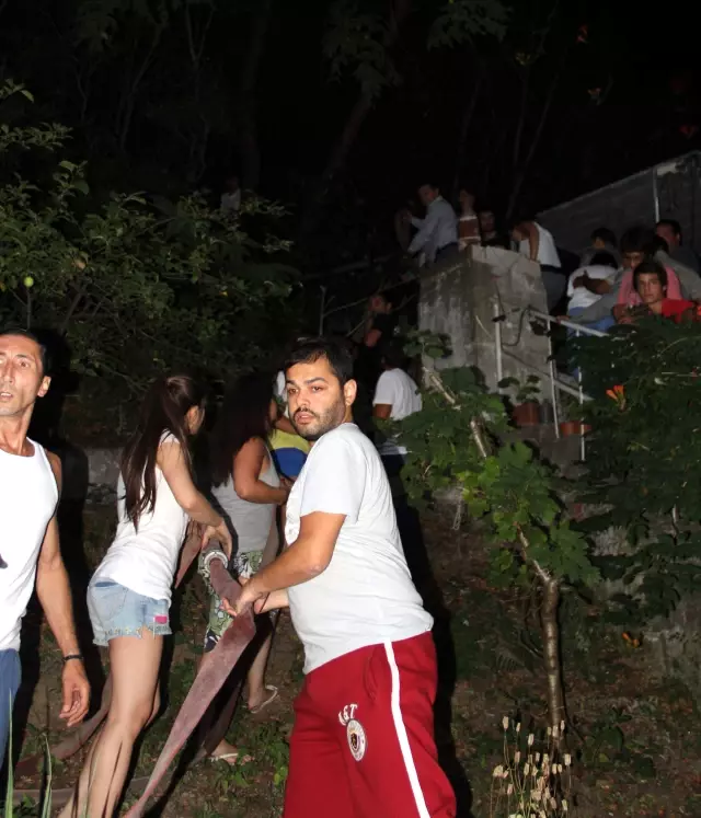 Bartın'daki Yangın Bartın'daki Yangın