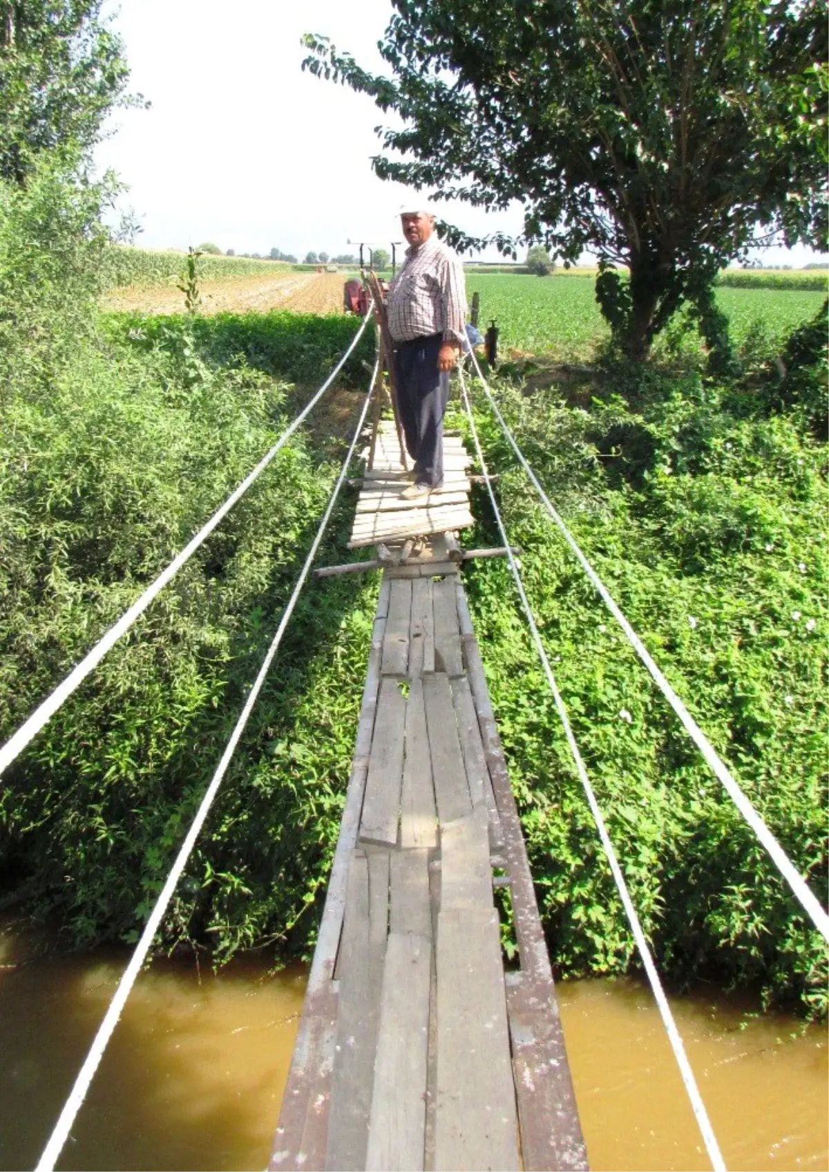 Bes Kardes Bir Olup Kucuk Menderes Nehri Ustune Ilkel Kopru Kurdu Haberler Haberler Com