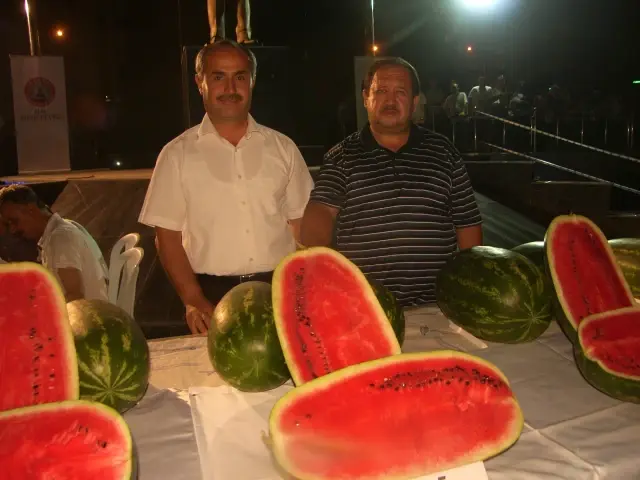 Bafra'da Kavun ve Karpuzlar Yarıştı