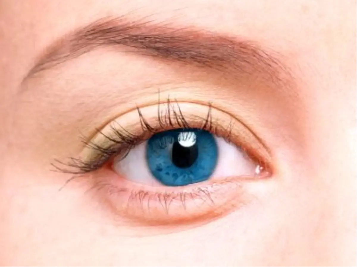 Goz Tembelliginden Kurtulmak Mumkun Haberler Goz Tembelliginden Kurtulmak Mumkun Haberler