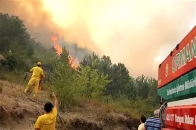 Karabük'te Orman Yangını Karabük'te Orman Yangını