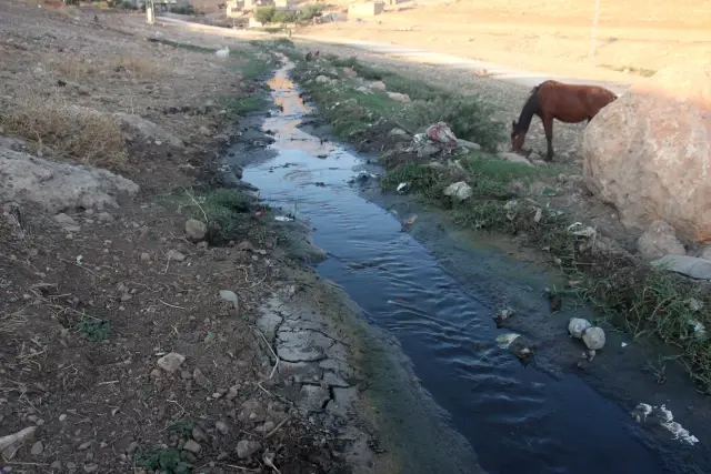 Mardin Tabipler Odası Başkanı'ndan Sıtma Açıklaması