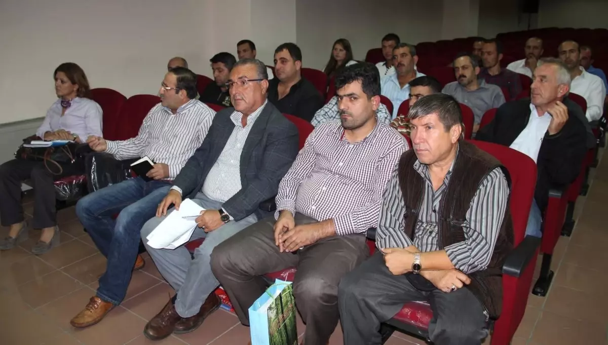 Hali Yikama Meslegine Ustalik Belgesi Zorunlulugu Getirildi Bursa