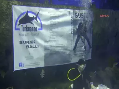 En İlginç Kitap Tanıtımı En İlginç Kitap Tanıtımı