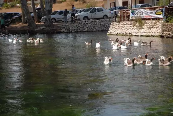 Akyaka�daki Kadın Azmağı�na Ziyaretçi Akını Haberler