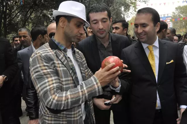 Azerbaycan'da Nar Festivali