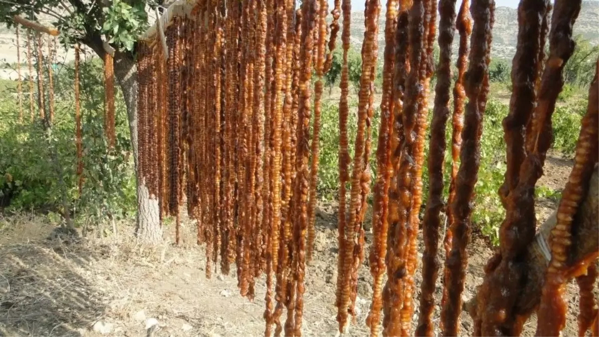 Halfeti De Bag Bozumu Zamani Haberler