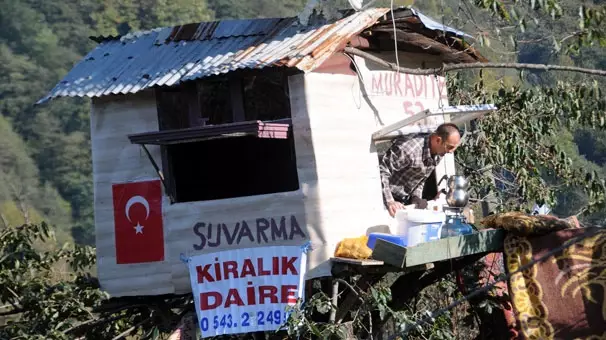 Sahibinden Ağaç Gövdesine Kiralık Ev Haberler