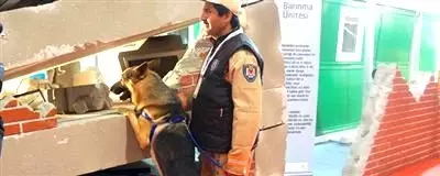 Afet İçin 3 Kurtarma Köpeği Fuarda Afet İçin 3 Kurtarma Köpeği Fuarda
