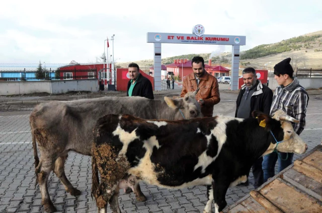 Yozgat'ta Bir Grup Besici Et Balık Kurumu Önünde Eylem Yaptı Haberler