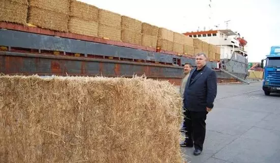 5 ulkeden saman ithalati haberler ekonomi