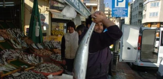 Fiyatlar Yükseldi, Balık Tüketimi Azaldı