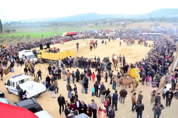 Kemalpaşa'da Deve Güreşi Heyecanı