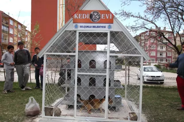 Selçuklu�da Kedi Evleri�nin Sayısı Artıyor Haberler