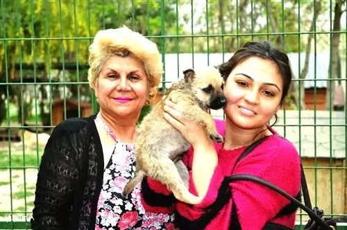 Petshoptan Degil Barinaktan Hayvan Sahiplenin Haberler Com Yerel