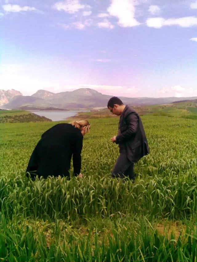 Silvan�da Buğdayda Pas ve Septoria Hastalığıyla İlgili Seminer Haberler