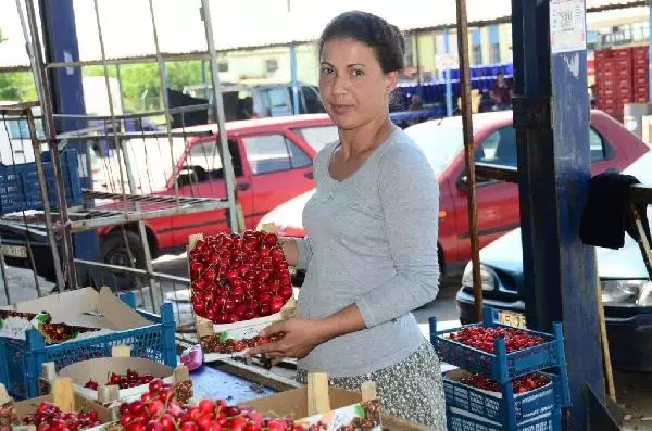 Soğuk Hava ve Arıların Çalışmaması Kirazı Vurdu