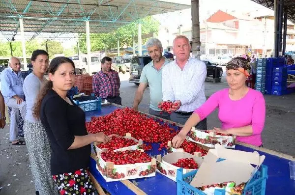 Soğuk Hava ve Arıların Çalışmaması Kirazı Vurdu