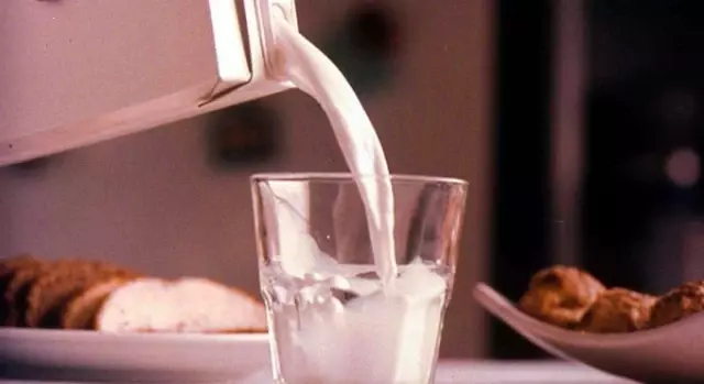 Süt, Obezite ve Kansere Karşı Koruyor
