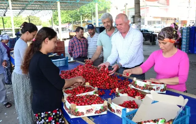 Kiraz Tat Vermiyor