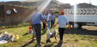 Derik'te Kuduz Paniğiyle Okullar Tatil Edildi