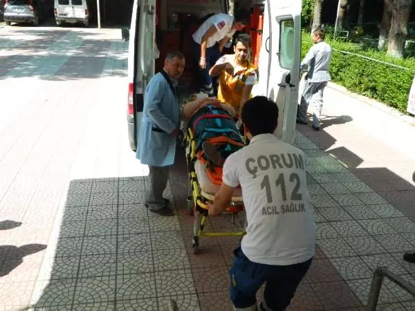Köy Yolunda İki Otomobil Çarpıştı Köy Yolunda İki Otomobil Çarpıştı