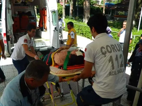 Köy Yolunda İki Otomobil Çarpıştı Köy Yolunda İki Otomobil Çarpıştı