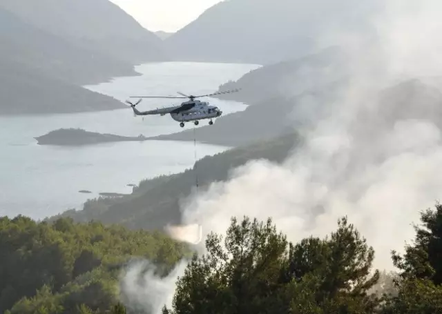 Alanya'da Orman Yangını - Haber