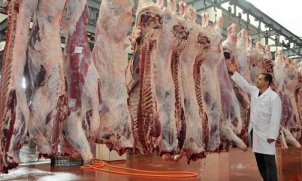 Et Borsası'na Şafak Haberler