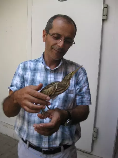 Uçamayan Yavru Balıkçıl'ı İlçe Tarım'a Teslim Ettiler
