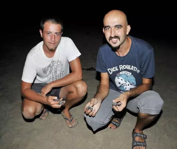 Patara'nın Yavru 'Caretta'ları Denizle Buluşuyor Patara'nın Yavru 'Caretta'ları Denizle Buluşuyor