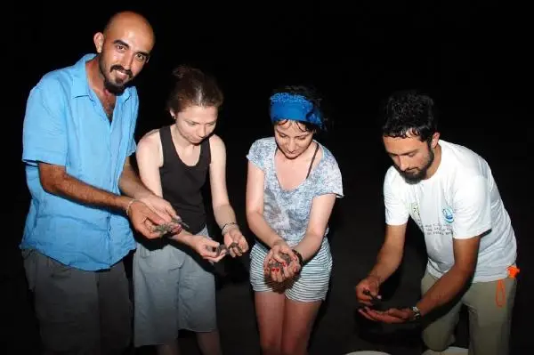 Patara'nın Yavru 'Caretta'ları Denizle Buluşuyor Patara'nın Yavru 'Caretta'ları Denizle Buluşuyor