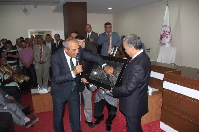 Torna Ustası, Yılın Ahisi Seçildi