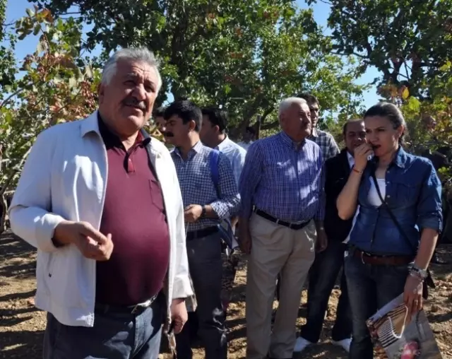 'Siirt Fıstığı ve Doğa Festivali' Devam Ediyor 'Siirt Fıstığı ve Doğa Festivali' Devam Ediyor
