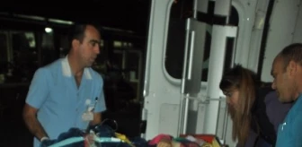 Milas'ta Trafik Kazası: 5 Yaralı