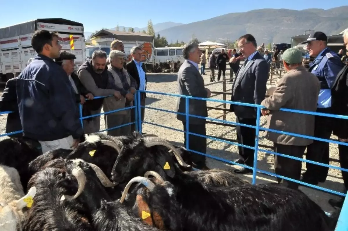 aksehir de bolgenin en buyuk hayvan pazari hizmete basladi haberler