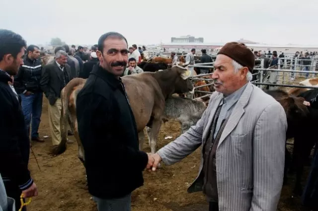 igdir da canli hayvan pazarinda kurban hareketliligi haberler