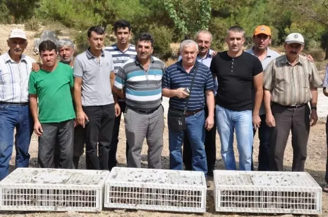 Kırkağaç'ta Yasak Ava Jandarmadan Suçüstü Kırkağaç'ta Yasak Ava Jandarmadan Suçüstü