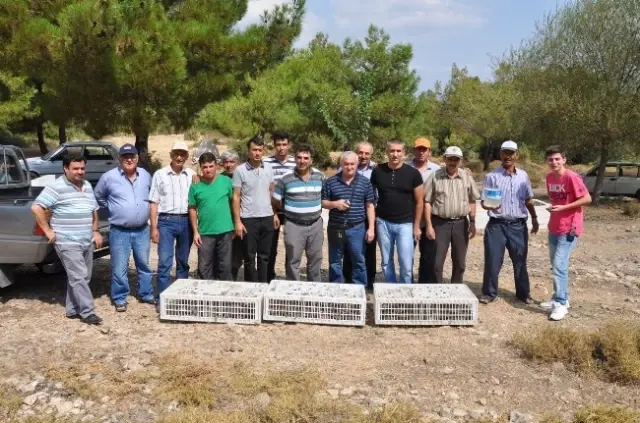 Kırkağaç'ta Yasak Ava Jandarmadan Suçüstü Kırkağaç'ta Yasak Ava Jandarmadan Suçüstü