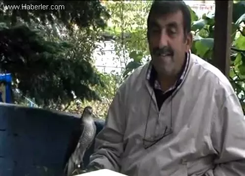 Vazgeçilmez tutku: Vazgeçilmez tutku: