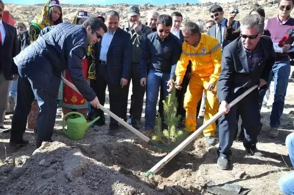 Cumhurbaşkanı Gül'ün Doğum Günü İçin 2 Bin Fidan - Kayseri