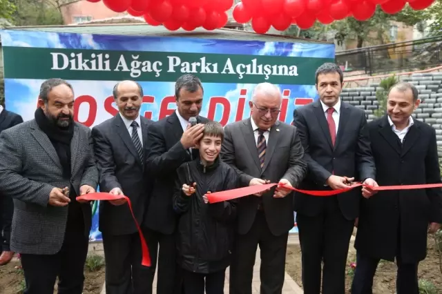 Rami, Yeni Bir Parka Kavuştu: Dikiliağaç