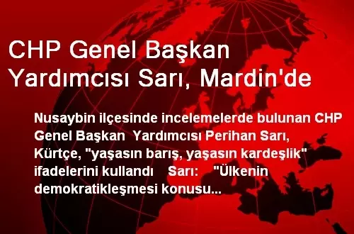 CHP Genel Başkan Yardımcısı Sarı, Mardin'de CHP Genel Başkan Yardımcısı Sarı, Mardin'de