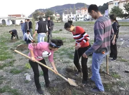 Abana'da Üniversite Öğrencileri 300 Fidan Dikti