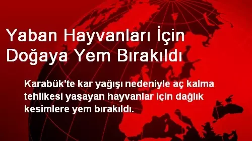 Yaban Hayvanları İçin Doğaya Yem Bırakıldı Yaban Hayvanları İçin Doğaya Yem Bırakıldı