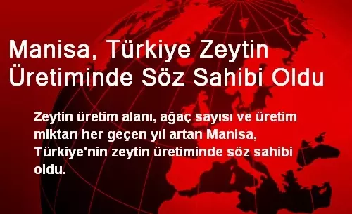 manisa turkiye zeytin uretiminde soz