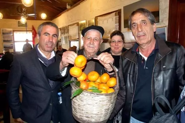Bodrum'da 7'nci Mandalina Festivali Başladı