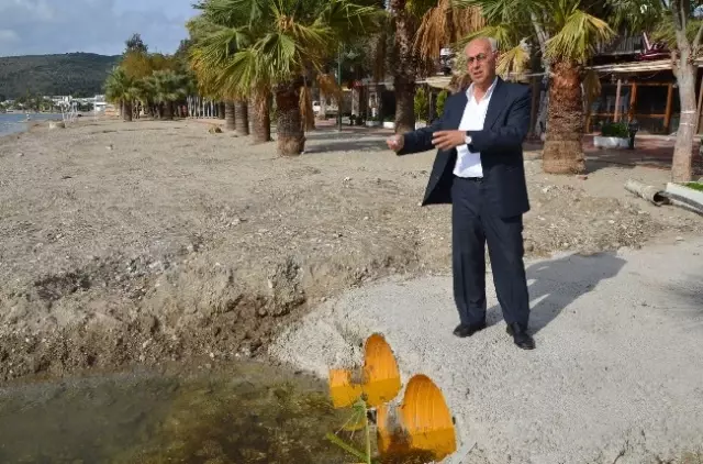 Bitez'de Kış Çalışmaları