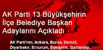 AK Parti 13 Büyükşehirin İlçe Adaylarını Açıkladı