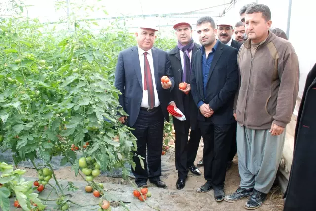 Silifke'de Tarla Günü Düzenlendi